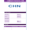 Sample PNC Record Front Page – GNM Nursing