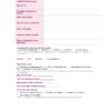 Sample page of the Normal Childbirth Documentation Format PDF for nursing students.