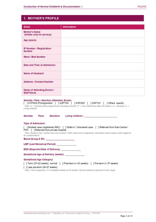 Sample page of the Normal Childbirth Documentation Format PDF for nursing students.