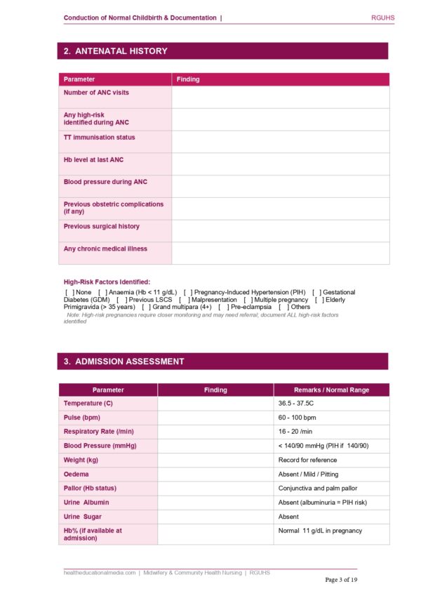 Sample page of the Normal Childbirth Documentation Format PDF for nursing students.