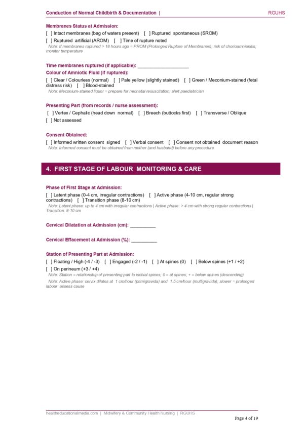 Sample page of the Normal Childbirth Documentation Format PDF for nursing students.