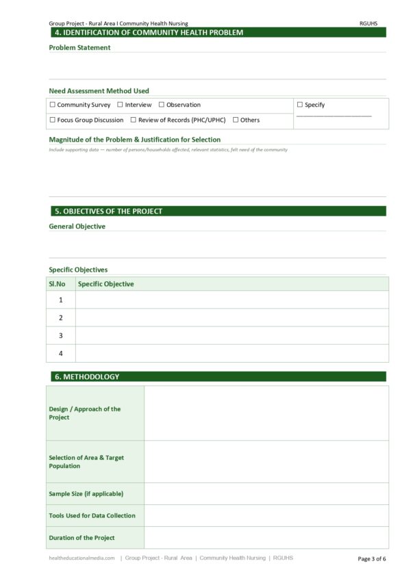 Sample page of the Group Project (Rural Community) Format PDF for nursing students.