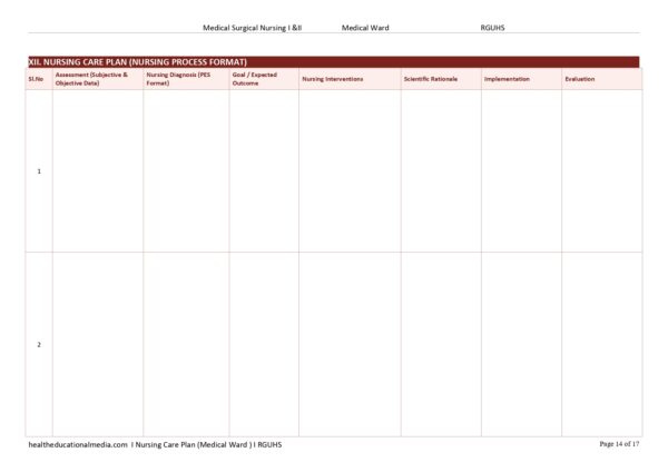 Sample page of the 17-page Medical Ward Nursing Care Plan PDF template for nursing students.