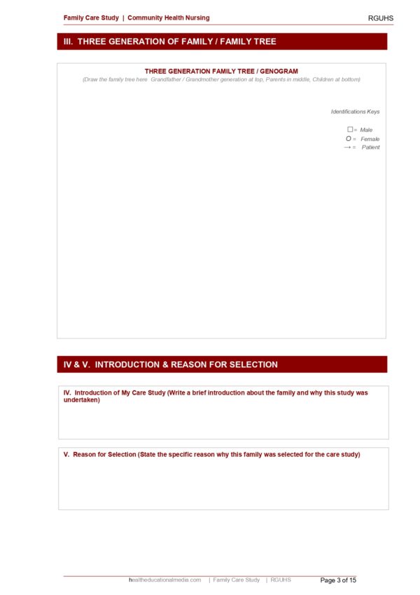 Sample page of the Family Care Study format for nursing students.
