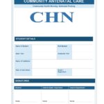 Community ANC Format PDF, 15 pages, for B.Sc Nursing and Post Basic B.Sc Nursing students.