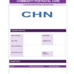 Community PNC Format PDF, 14 pages, for B.Sc Nursing and Post Basic B.Sc Nursing students.
