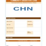 Community Under Five Care Format PDF, 13 pages, for B.Sc Nursing and Post Basic B.Sc Nursing students.