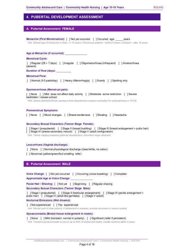Sample page of the Community Adolescent Care Format PDF for nursing students.