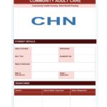 Community Adult Care Format PDF, 17 pages, for B.Sc Nursing and Post Basic B.Sc Nursing students.