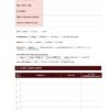 Sample page of the Community Adult Care Format PDF for nursing students.